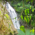 Salto de Curet Maricao, Puerto Rico