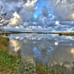 Tortuguero Lagoon Vega Baja, Puerto Rico