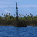 Tortuguero Lagoon Vega Baja, Puerto Rico