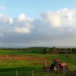 Vaquería Ceiba del Mar Hatillo, Puerto Rico