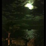 e5et Palmas Yacht Club Tiki Lounge Bar