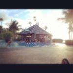 Wet Pool Bar and Grill-Gran Melia Bar