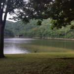 Lago Guayabal, 00766, Puerto Rico