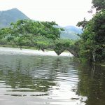 Lago Guayabal, 00766, Puerto Rico