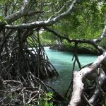 Playa Manglillo Pequeño