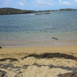 Playa de Puerto Nuevo