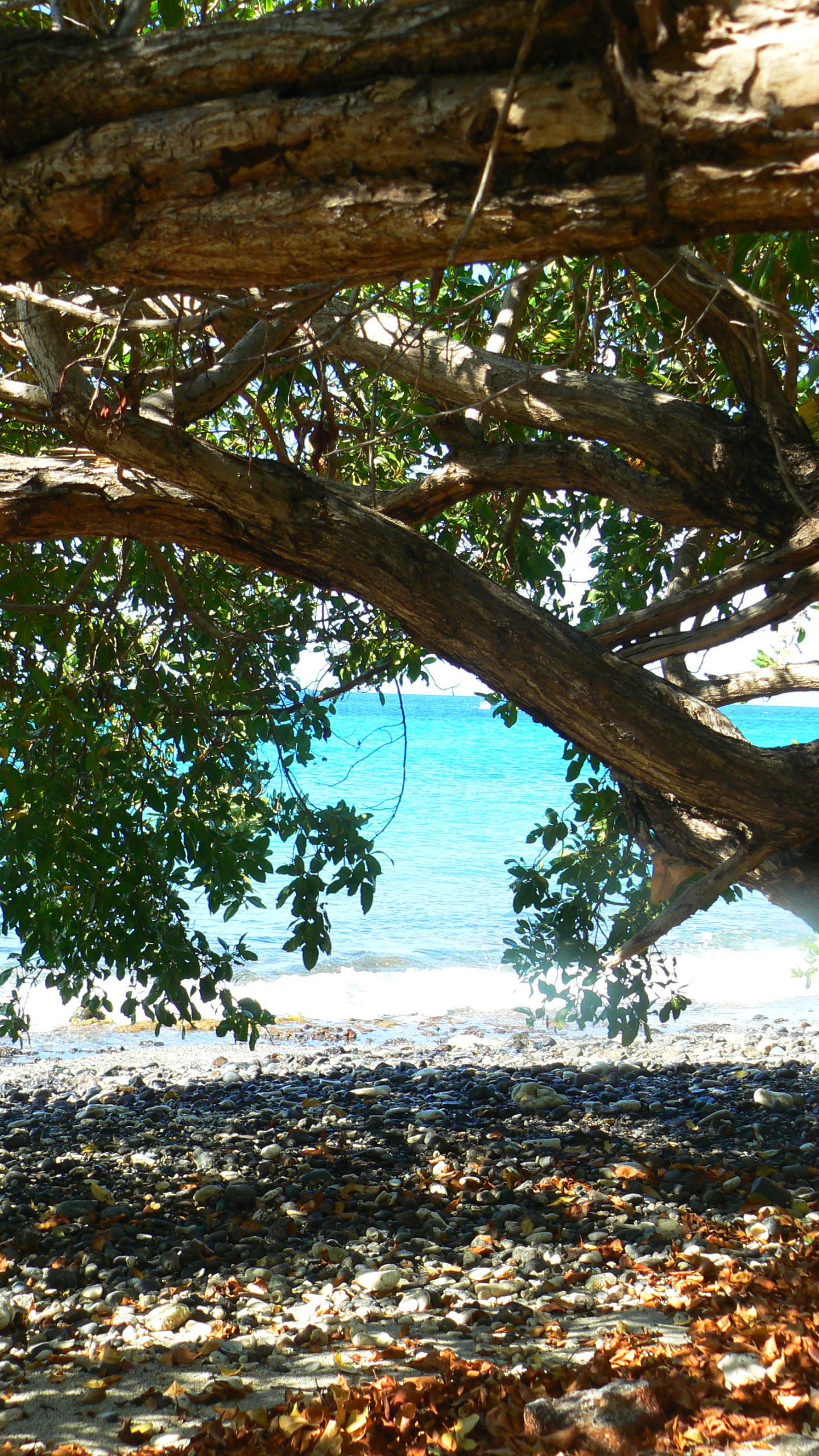 Playa Punta Soldado
