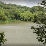 Puente hamaca Adjuntas