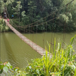 Puente hamaca Adjuntas