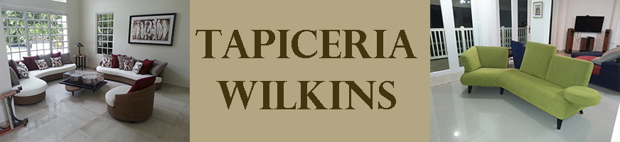 Tapiceria Wilkins