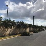 World Landscaping and Irrigation Services Corp