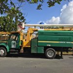 World Landscaping and Irrigation Services Corp