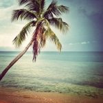 Punta Arenas (Green Beach)