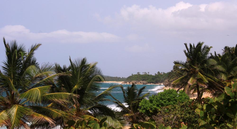 Playa Tortuga
