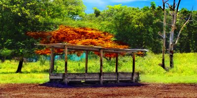 2863095887_a43f3ebbd0_o