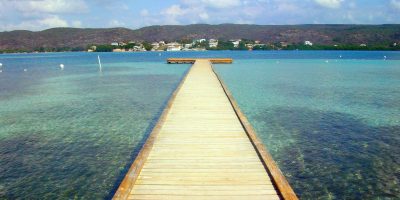 4407323409_ace34cbab9_o_0