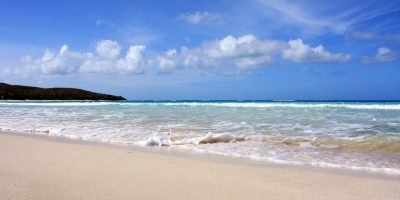 4444244473_205384c665_b