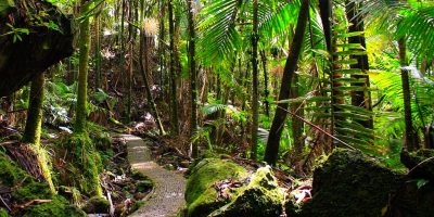 4458457285_01da2e1e13_b