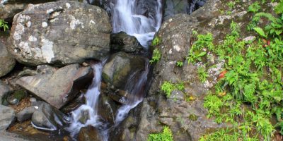 Cascada_Coca_El_Yunque__Rio_Grande_-_EDITAD_IMG_0517