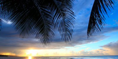 Dollarphotoclub_97246511