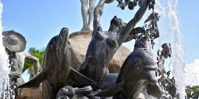 Nuestra Fuente De Las Raíces, San Juan