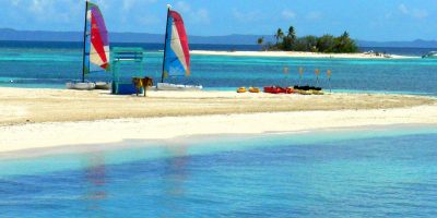 Palomino y Palominito