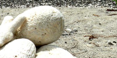 Playa_Soldado__Culebra_Puerto_Rico_1_-_EDITADA_P1050465