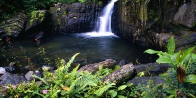 Rio_en_el_Yunque-2